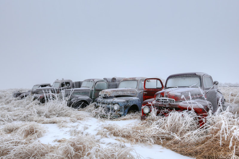 A row of old Ford trucks that are abandoned in Southern Saskatchewan.